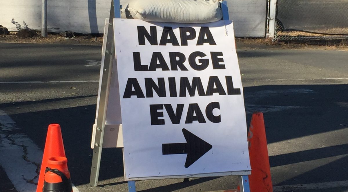 Napa Large Animal Evac Sign