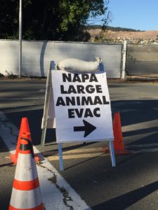 Napa Large Animal Evac Sign