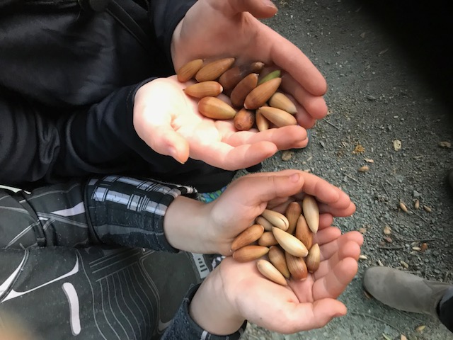 Children holding acorns ready for planting